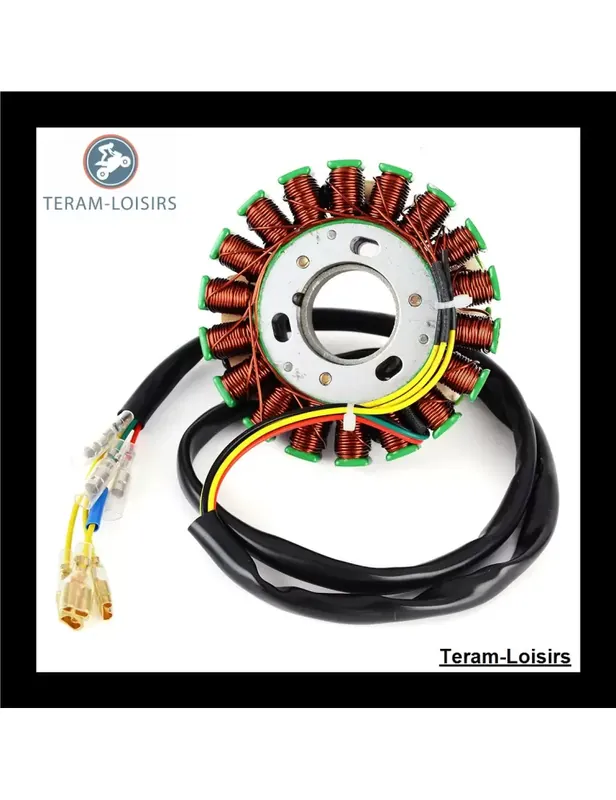 Livraison Express Stator pour KTM 400 LC4 de 1993 1994 1995 1996 1997 1998 1999 2000