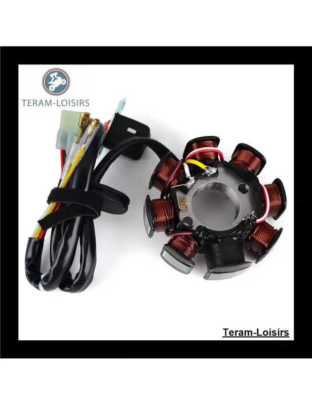 Vente Directe Stator Allumage pour KTM 250 XC / XCW de 2008 2009 2010 2011 2012 2013 2014 2015 2016