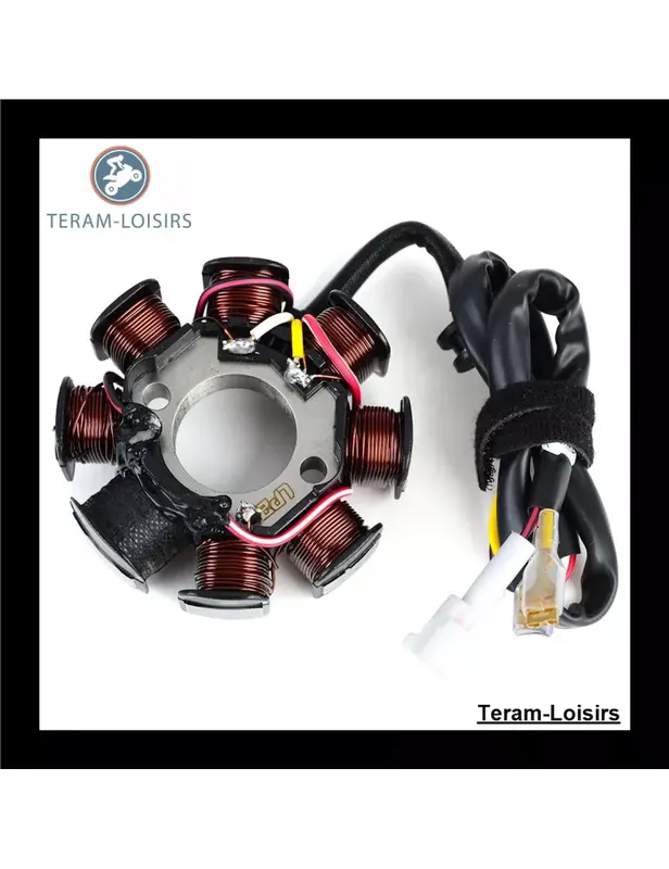 Vente Directe Stator pour KTM 250 XCF-W / XC-F de 2007 2008 2009 2010 2011