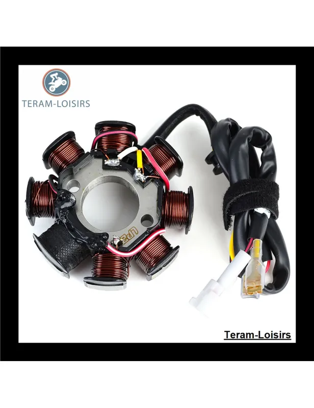Stator pour KTM 250 EXC-F de 2002 2003 2004 2005 2006 2007 2008 2009 2010 2011 Prix Bas