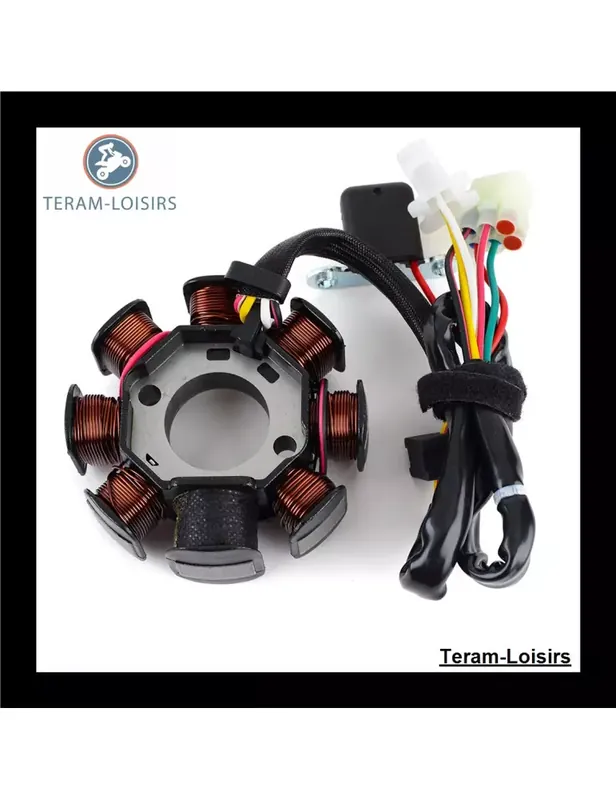 Affaire À Saisir Stator Allumage pour Husqvarna SM 400 / 450 / 510 R de 2005 2006 2007