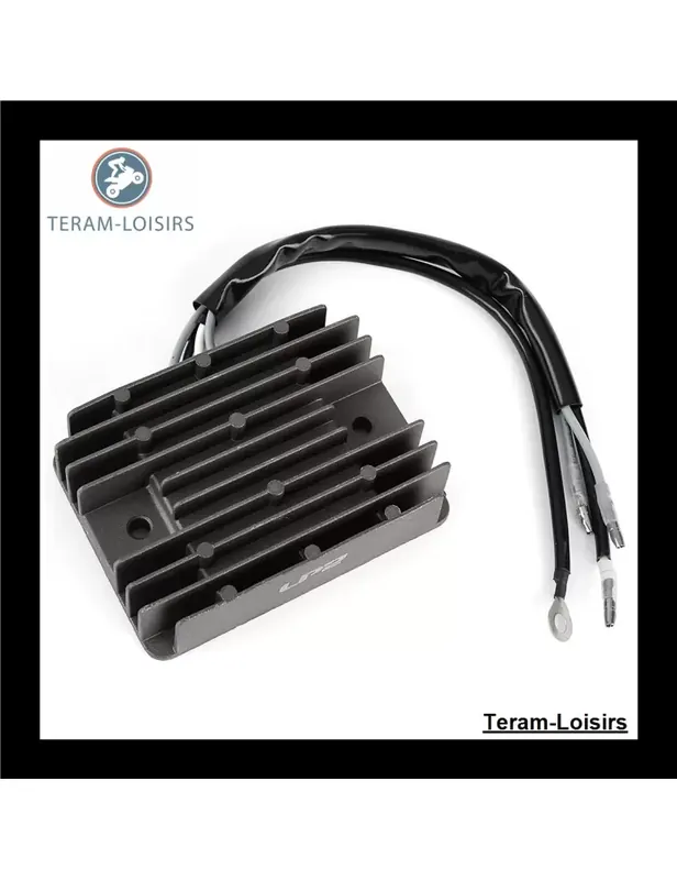 Régulateur Tension pour Honda GCV530U CEE9 / GXV610U1 QYC4 / GXV620U1 QYC4 Promotion