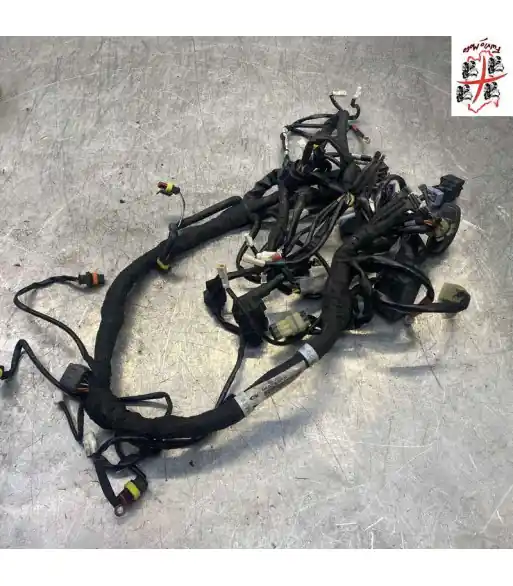 Faisceau électrique principal KTM SUPER DUKE 1290 - 2017 Offre Du Jour