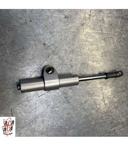 Seulement Aujourd&rsquo;hui Amortisseur de direction BMW f900r – 2022