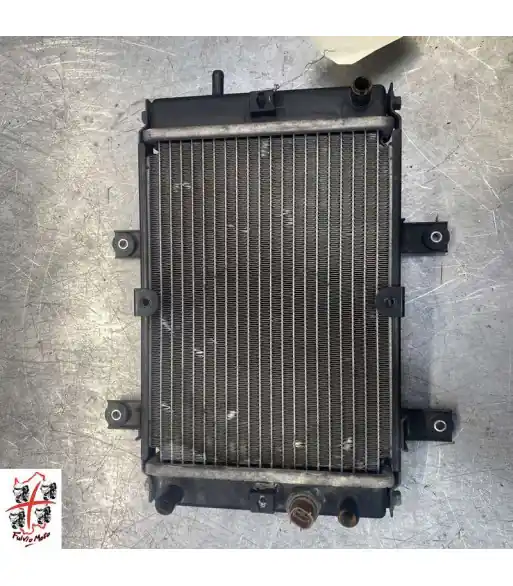 Nouveauté Radiateur d'eau SYM GTS 250 – 2008
