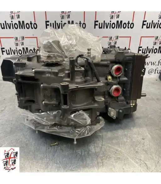 Remise Moteur YAMAHA MT07 - 2016
