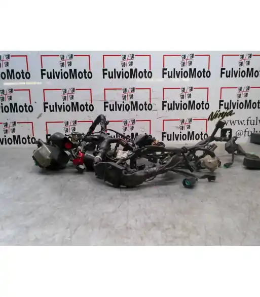 Acheter Direct Faisceau électrique HONDA CB 650 RA – 2022