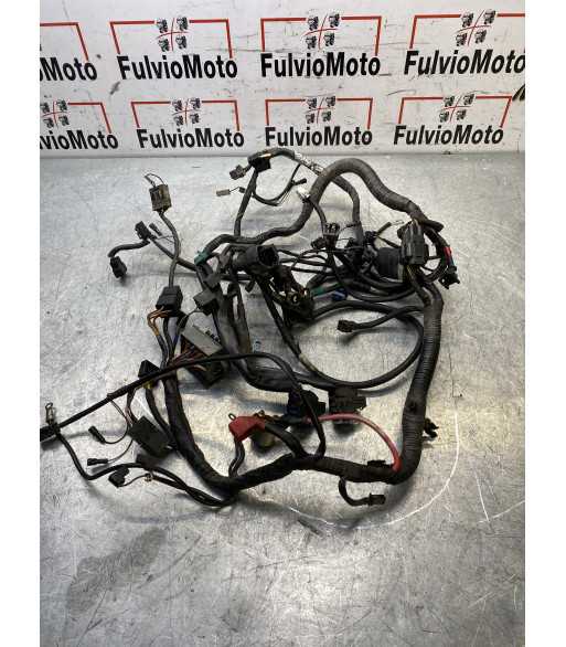 Faisceau électrique TRIUMPH TT 600 – 2002 Haute Qualité