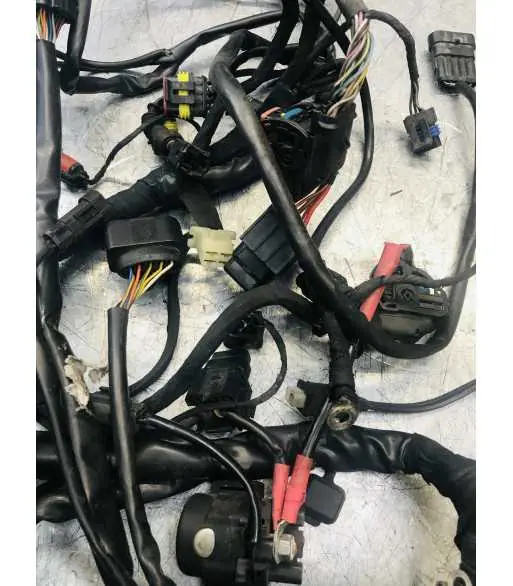 Faisceau électrique DUCATI MULTISTRADA 1100 – 2007 Commander Maintenant