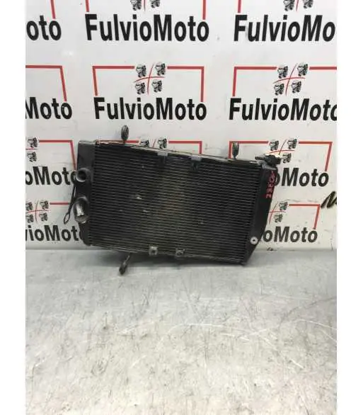 Commander Maintenant Radiateur d'eau DUCATI MULTISTRADA 796 – 2015
