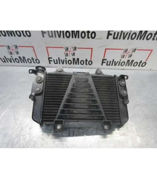 Expédition Rapide Radiateur d'eau BMW G310 R – 2018