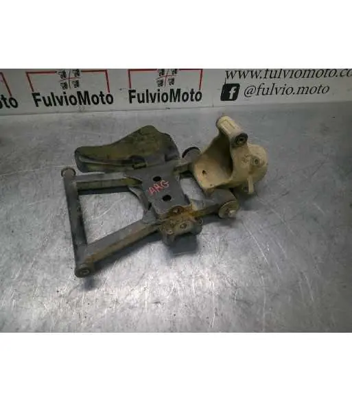 Quantité Limitée Bras oscillant Arrière Gauche POLARIS SPORTSMAN 500 – 2011