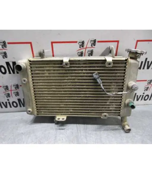 Radiateur d'eau ARCTIC CAT DVX 400 – 2005 Dernier Modèle
