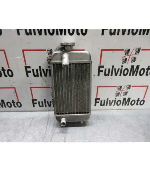 Meilleur Choix Radiateur d'eau RIEJU SPIKE 50 – 2006