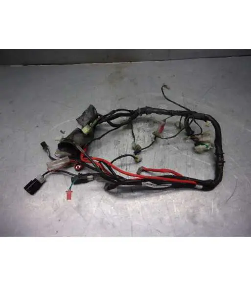 Commander Maintenant Faisceau électrique – KYMCO KPW 50 -+C10718:C11263 2015
