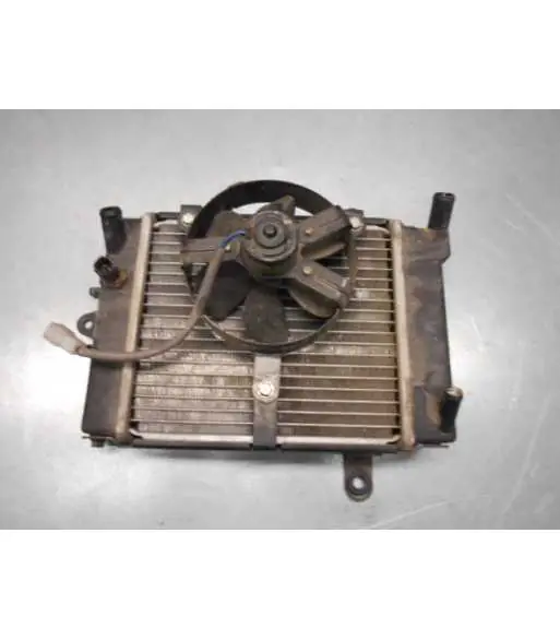 Quantité Limitée Radiateur d'eau – DAELIM s3 125 – 2012