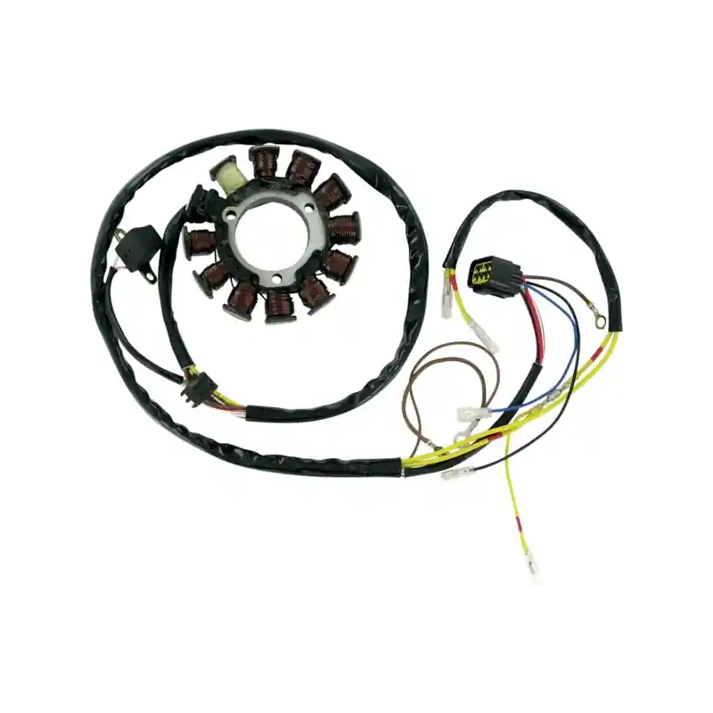 DESTOCKAGE !! Stator Rick's Electrics Quad Polaris 400/500cc 2002-2004 Nouvelle Collection
