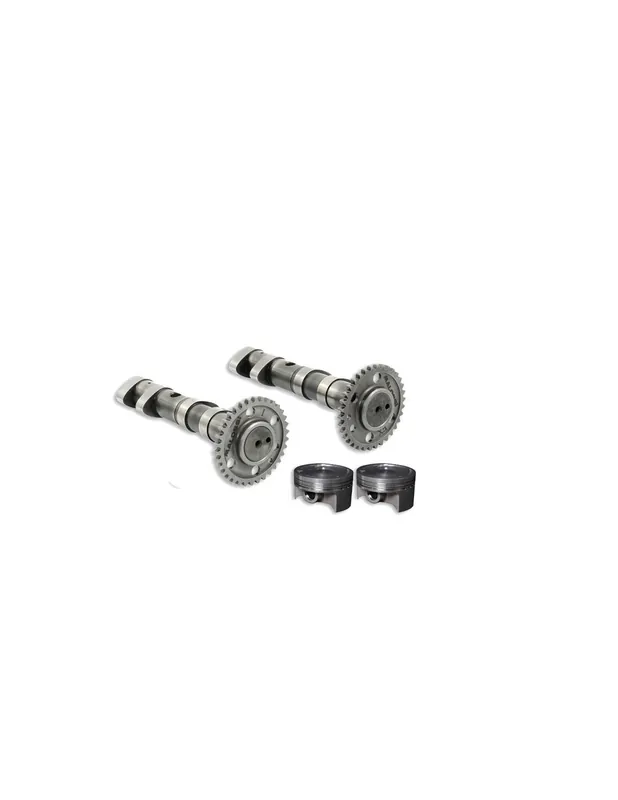 Arbre à cames + pistons forgés MALOSSI TMAX 500 01-11 Soldes