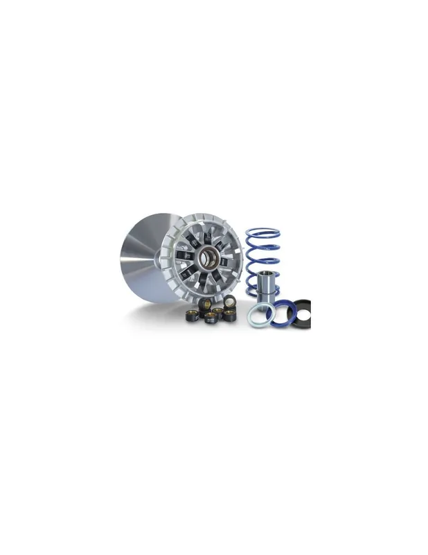 Variateur Polini EVOLUTION Tmax 560 Tmax 530 Bon Plan