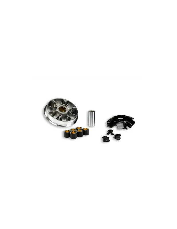 Certifié Variateur Malossi Multivar Vespa ET4 125 4T Mojito Hexagon LX4 Liberty (non leader)