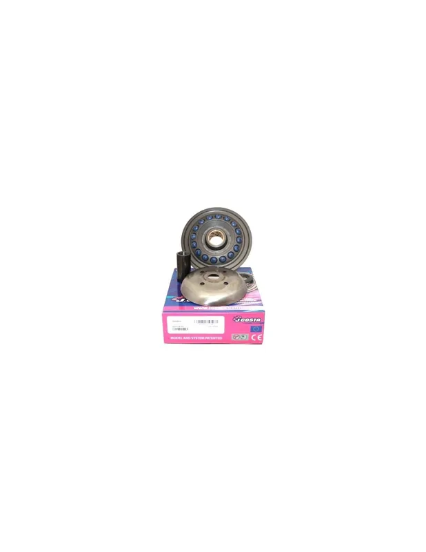 Paiement Sécurisé Variateur JCosta Pro Suzuki Burgman 400 07-25