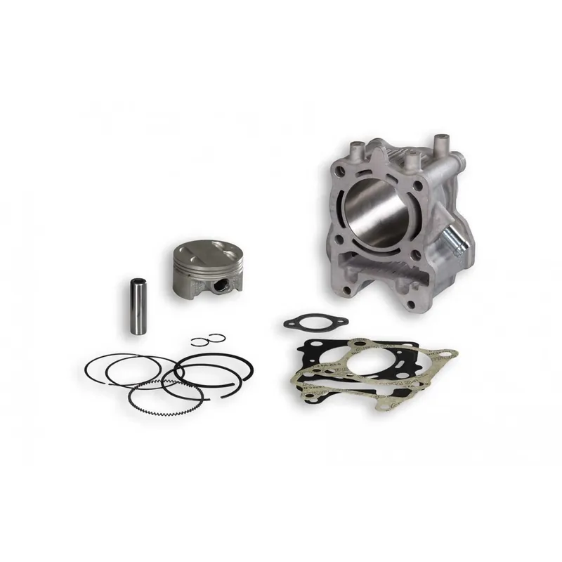 Cylindre piston Malossi Honda Forza 125 15-20 euro-3-4 Promotion Saisonnière