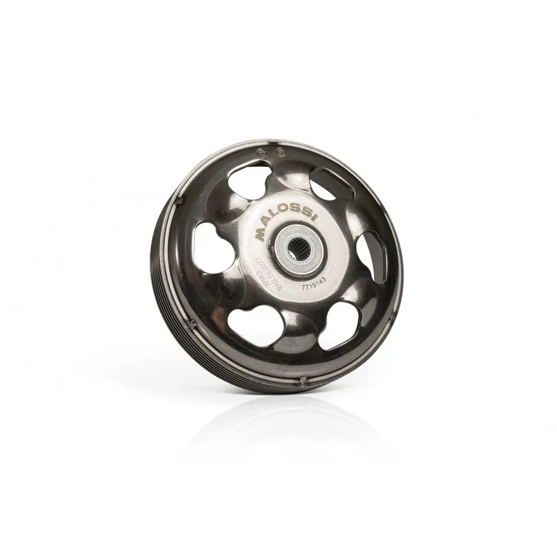 Cloche d’embrayage Malossi Wing Clutch Honda Forza 350 Achetez Aujourd&rsquo;hui