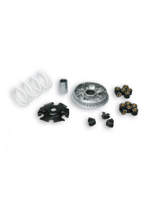 Commander Maintenant Variateur Malossi Multivar X8 200 / 250