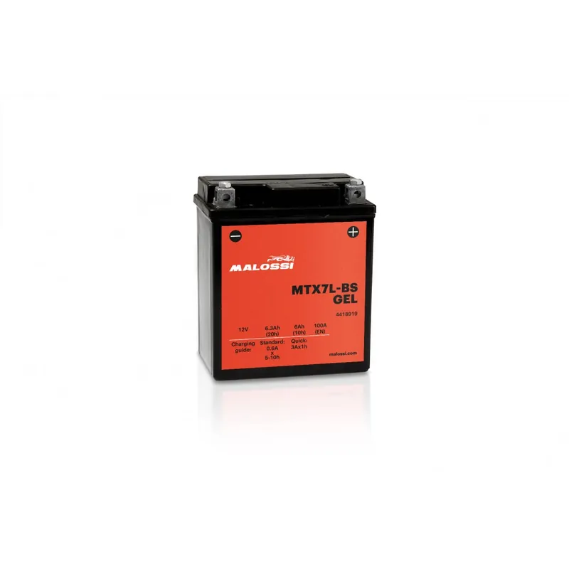 Acheter En Ligne Batterie Gel Malossi Honda Lead 110 4t 08-12