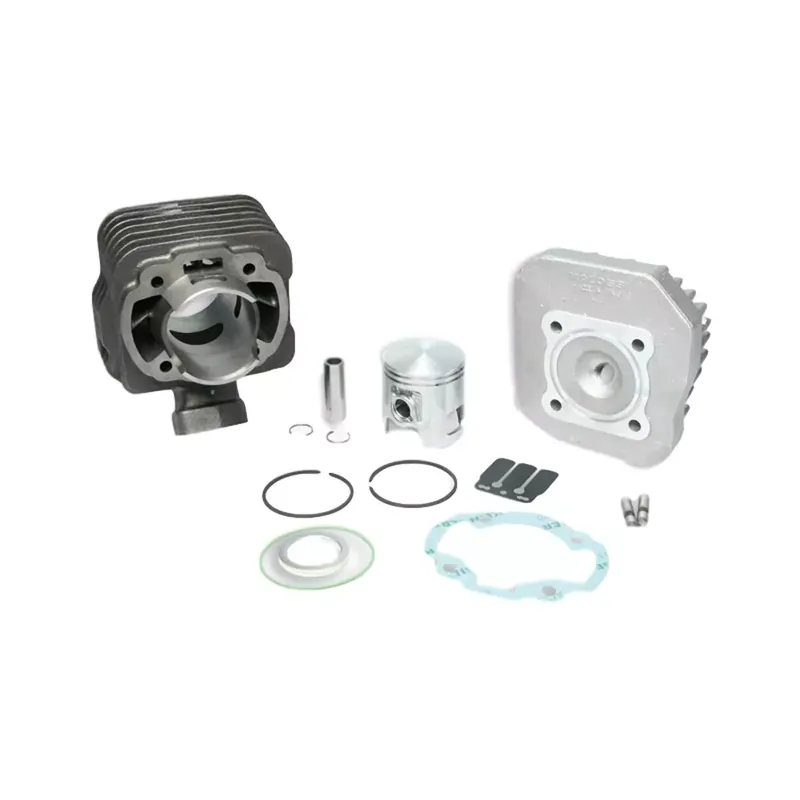 Nouvelle Collection Kit Cylindre 70cc PEUGEOT Buxy Trekker TKR - MALOSSI Fonte