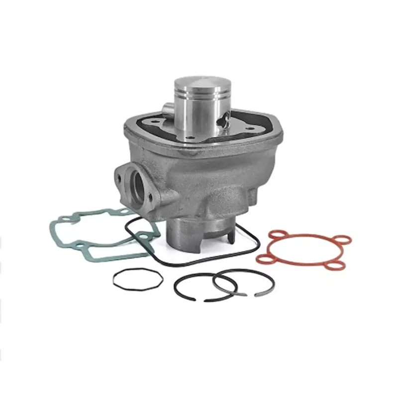 Paiement Sécurisé Kit Cylindre 50cc PIAGGIO NRG GILERA Runner LC – TNT Fonte