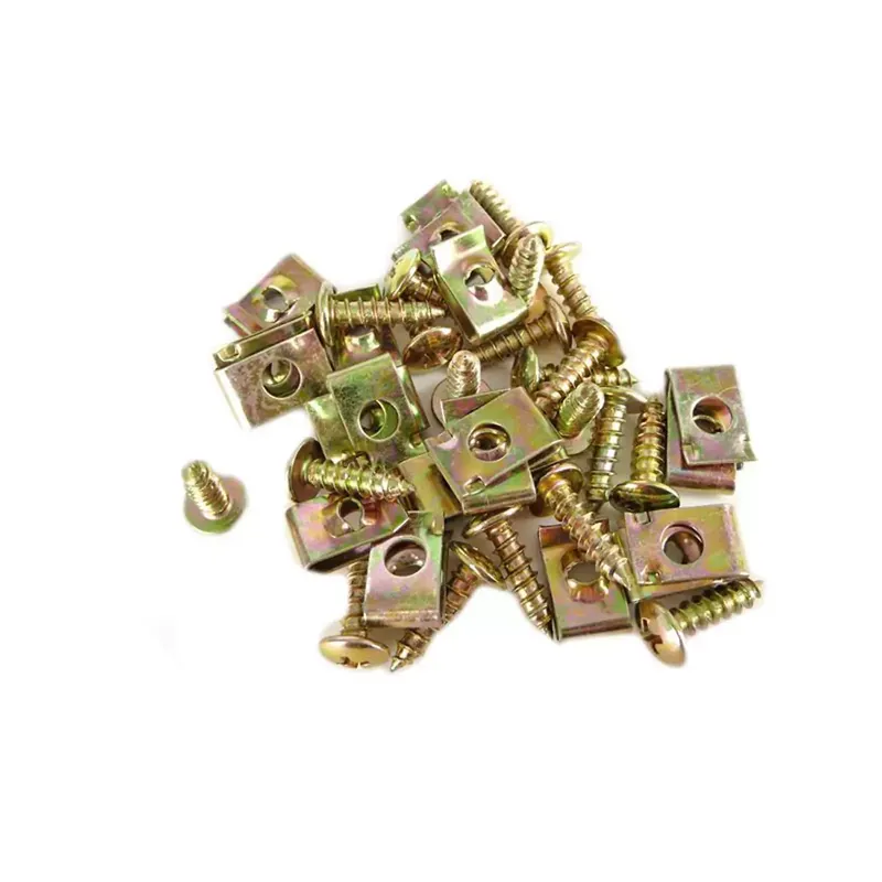 Jeu de 20 Vis + Agrafes pour Carrosserie – 4 x 10 mm Offre Spéciale