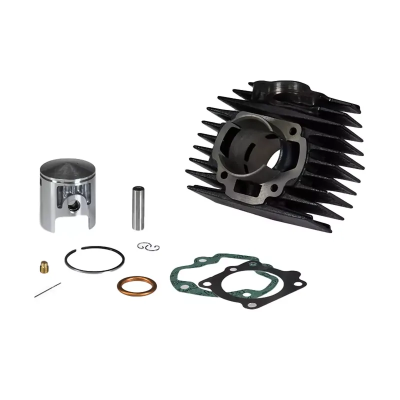 Kit Cylindre 70cc Honda Camino PX – Malossi Fonte 45.5mm Offre Spéciale