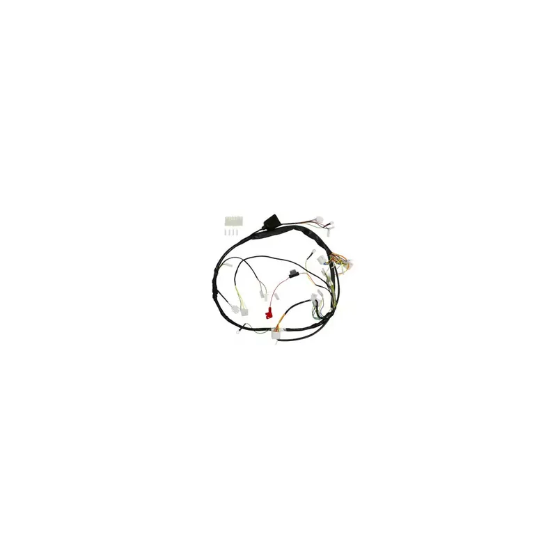 FAISCEAU ELECTRIQUE ORIGINE PIAGGIO GILERA 50 SMT, RCR 2006/2010/DERBI 50 SENDA 2005/2010 Bon Plan