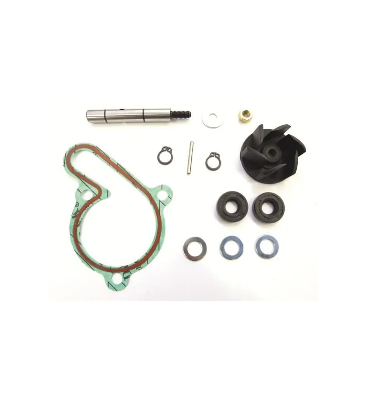 KIT REPARATION POMPE A EAU 50 A BOITE P2R POUR DER Soldes