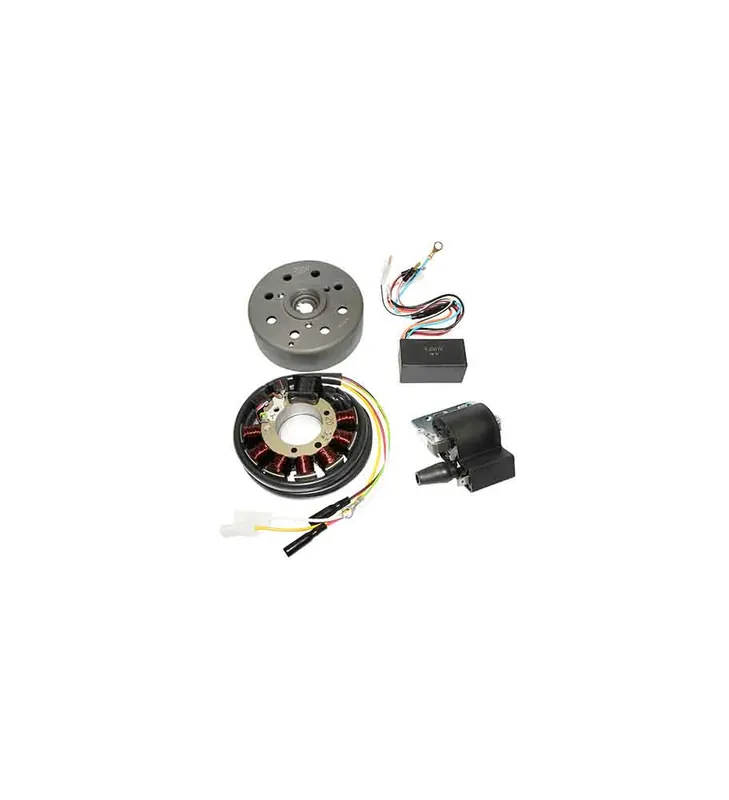 ALLUMAGE 50 A BOITE KRD ANALOGIQUE ROTOR XLIMIT DTR 50 Soldes