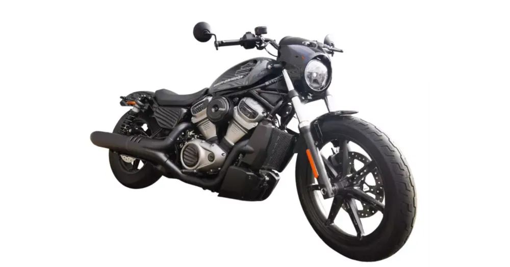 Grille de protection pour radiateur Harley-Davidson Nightster 975 Authentique