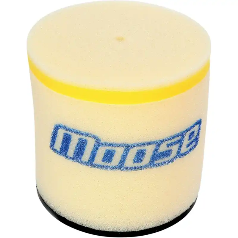 Livraison Express AIR FILTER TRX300/TRX400