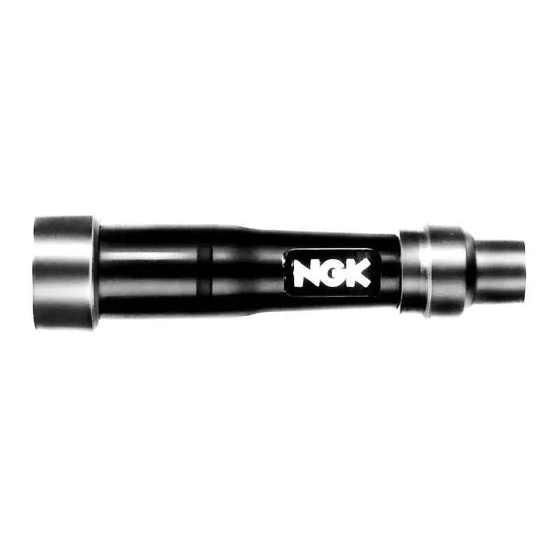 Anti-parasite NGK – SB01F Acheter En Ligne
