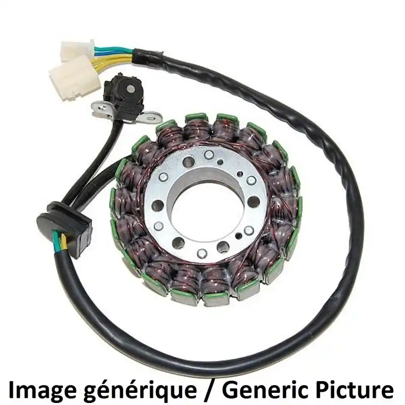 Meilleure Vente Stator ELECTROSPORT – Suzuki SV1000