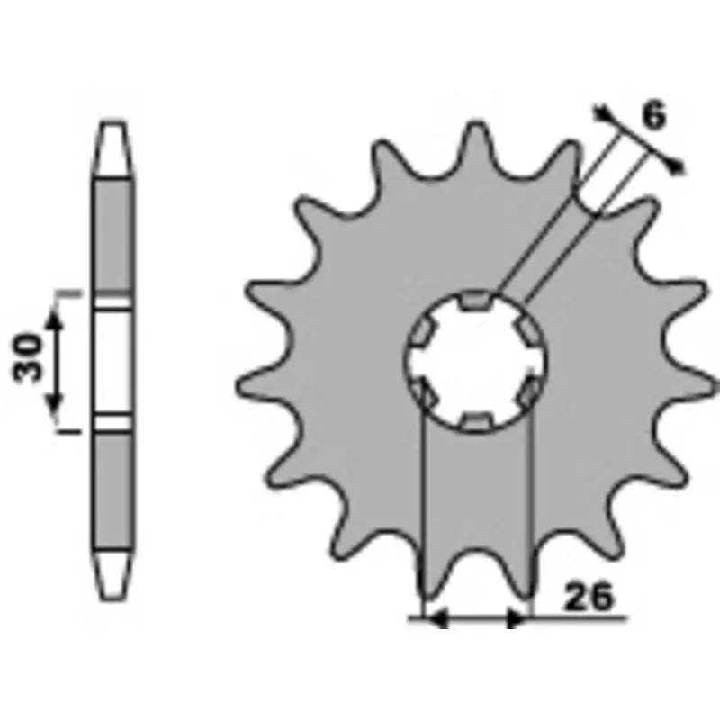 Promotion Saisonnière Pignon PBR acier standard 568 – 530
