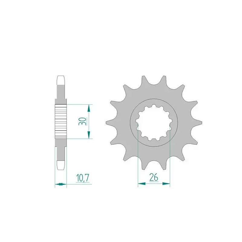 Meilleur Choix Pignon AFAM acier standard 21607 - 525