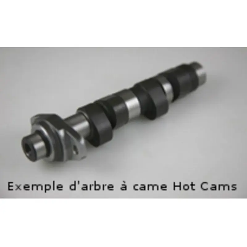 Top Vente Arbre à cames HOT CAMS - Niveau 2 Polaris