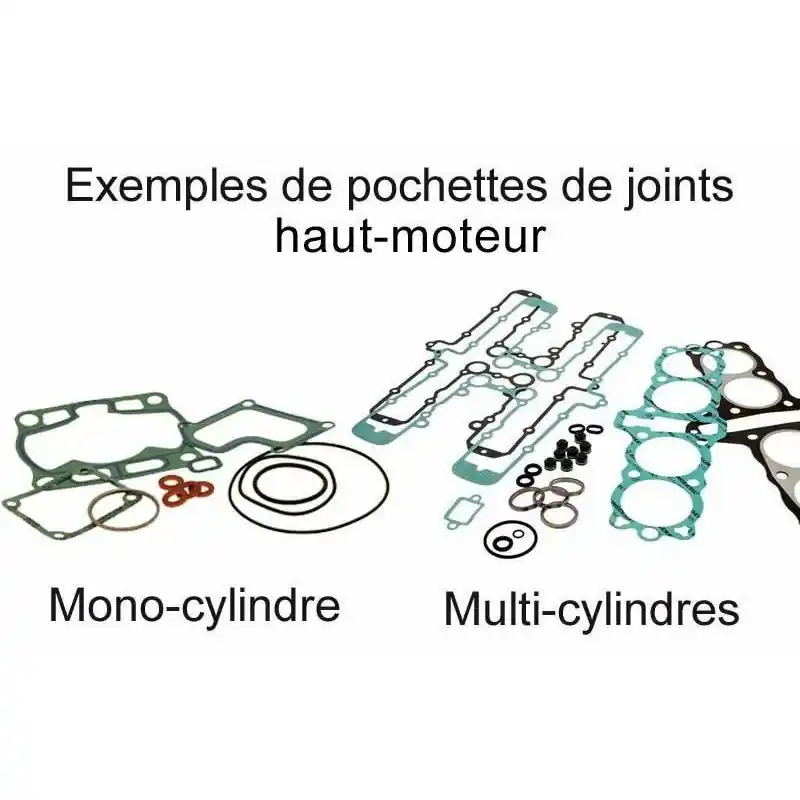 Expédition Rapide Joint haut-moteur CENTAURO