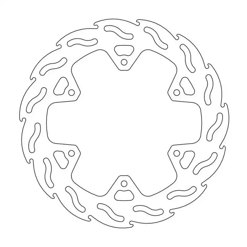 BRAKE DISC FLAME REAR Produit De Marque