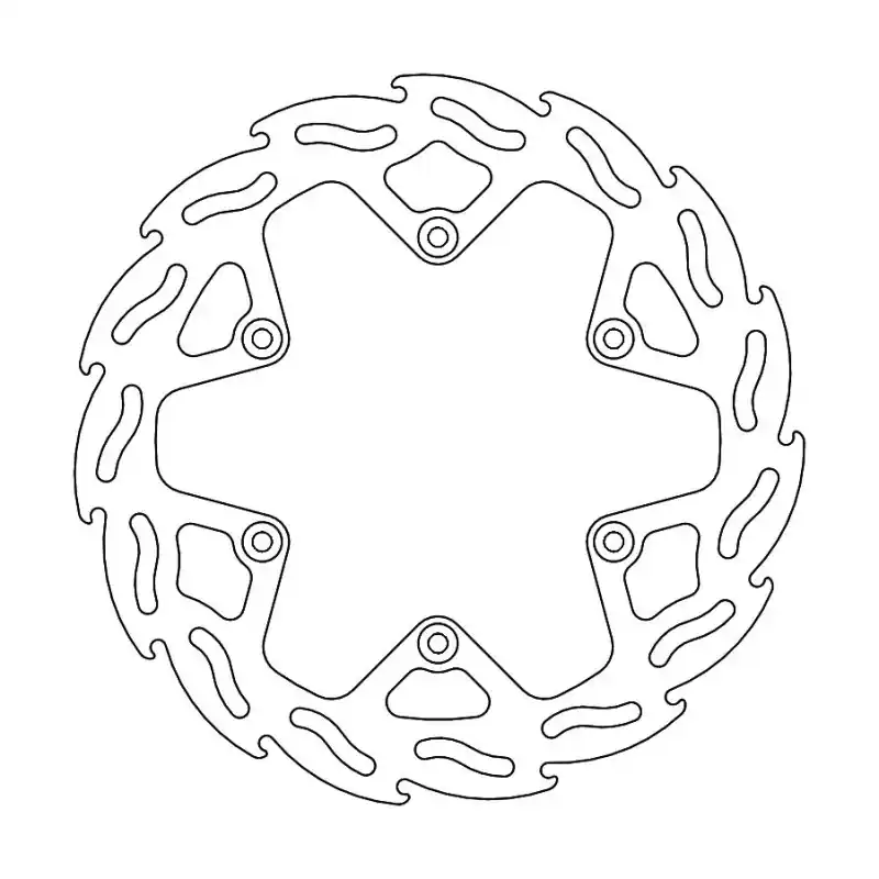 BRAKE DISC FLAME REAR Prix Cassé