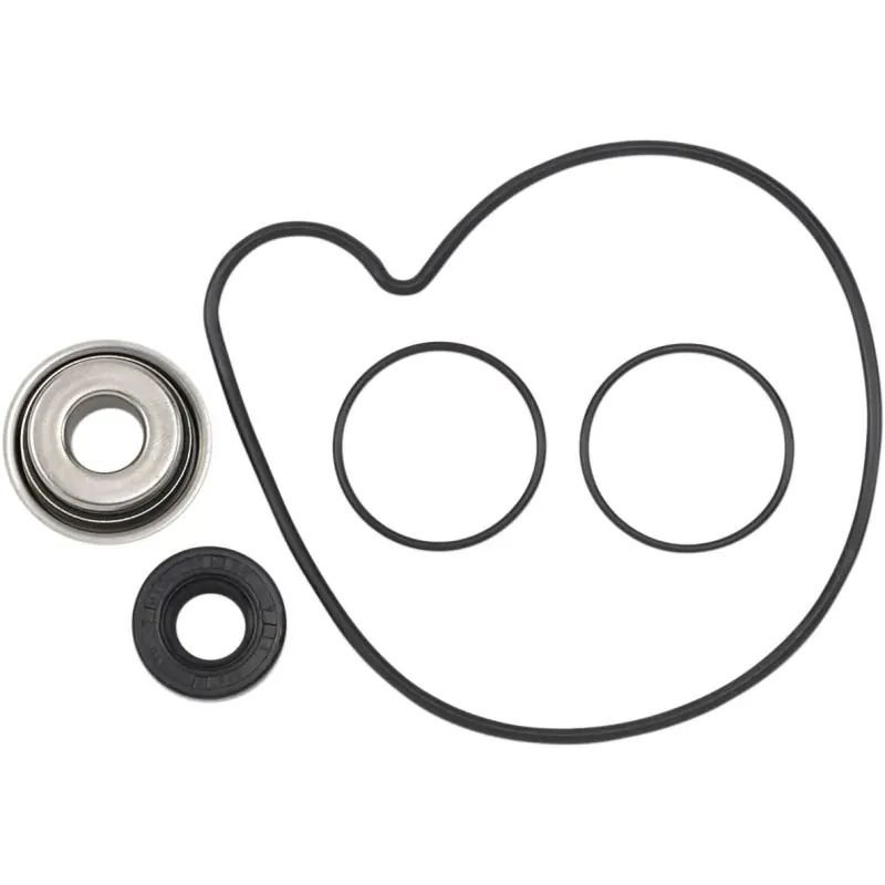 Commander Vite REPAIR KIT WATER PUMP