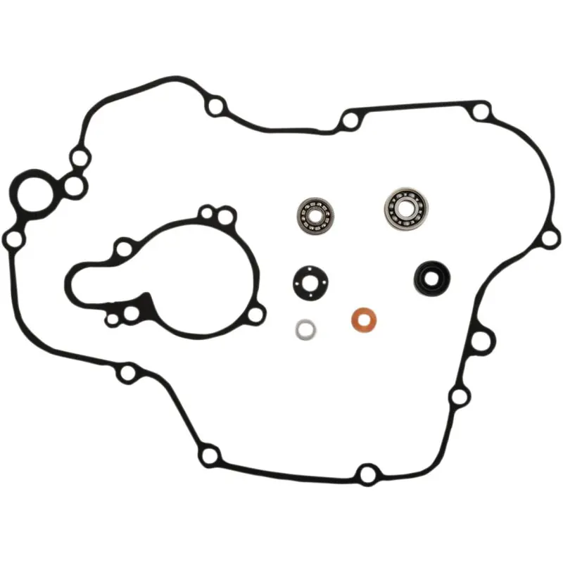 Must-Have GASKET KIT WATER PUMP KAW