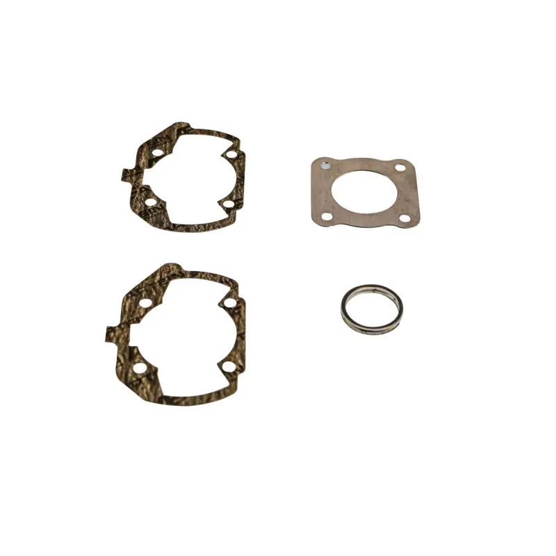 Acheter Direct GASK SET PEU LUDIX