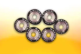 Réduction Jeu de galets de variateur Malossi, 19x17 mm, 6,6 g, pièces : 6